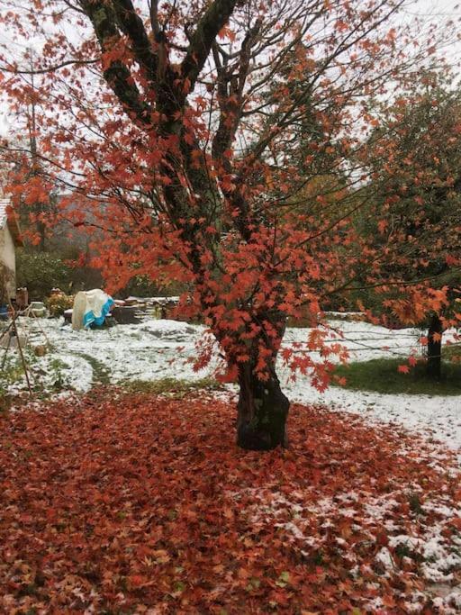 Arbon Lerable Pourpre De La Grotte Au Lionヴィラ エクステリア 写真